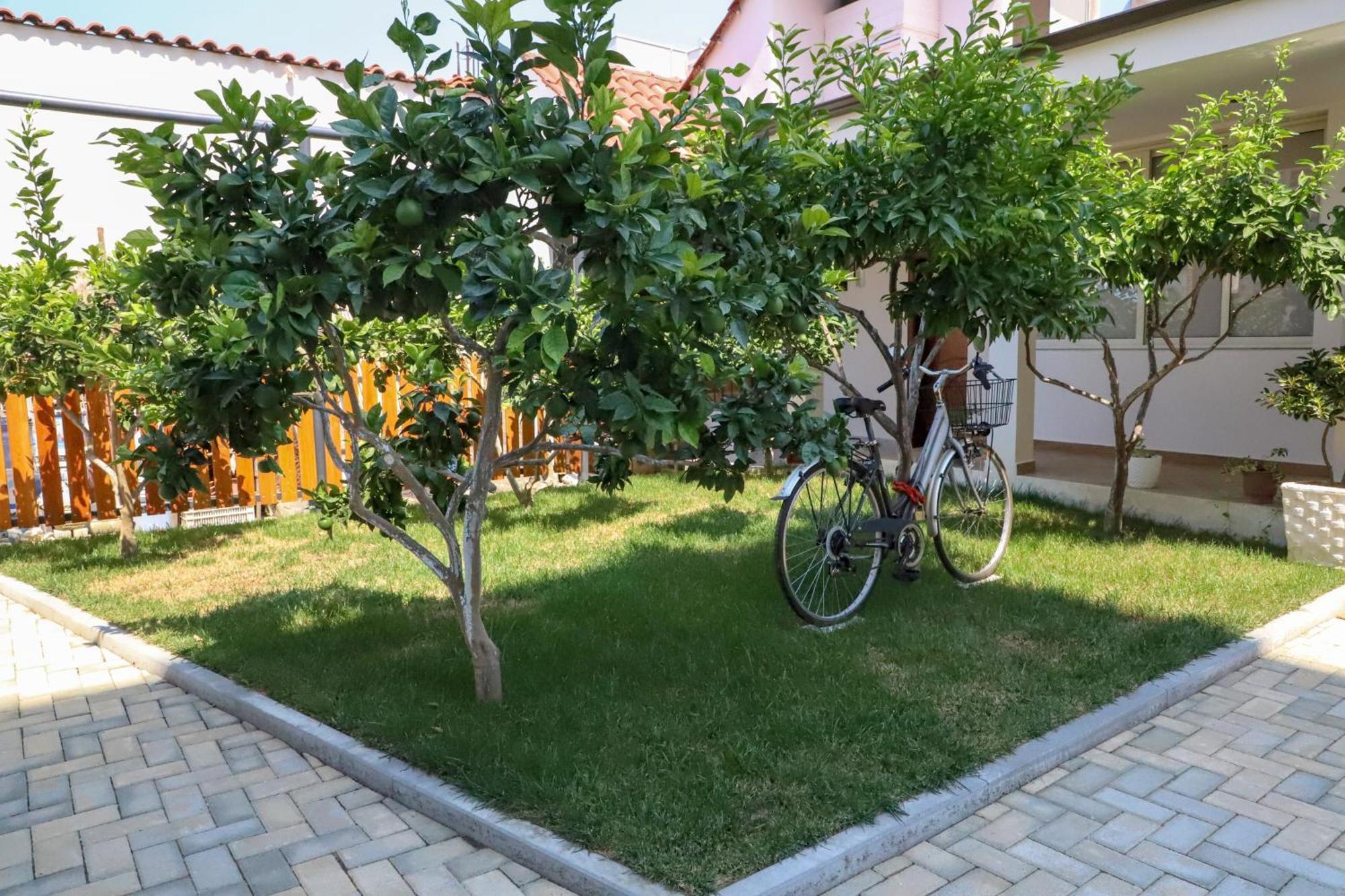Guest House Esanbja Berat Zewnętrze zdjęcie